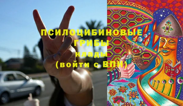 твердый Белокуриха
