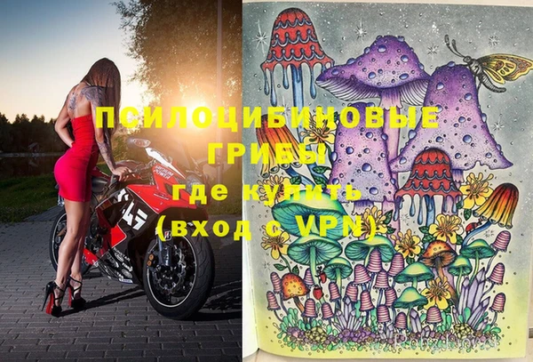 гашик Беломорск