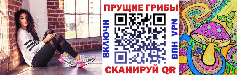 Псилоцибиновые грибы мухоморы  где купить наркоту  Салаир 